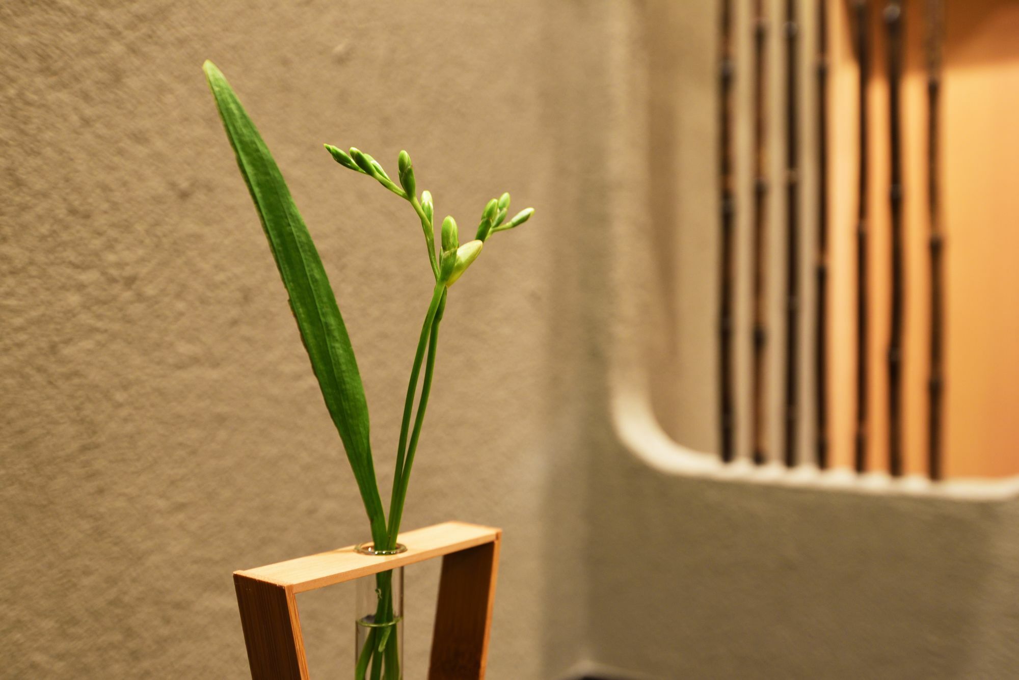 Ryokan Hanare Ōsaka Extérieur photo
